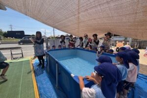 Pool Opening Day！